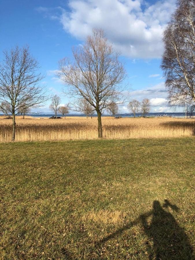 Hotel Am See Hard Eksteriør billede